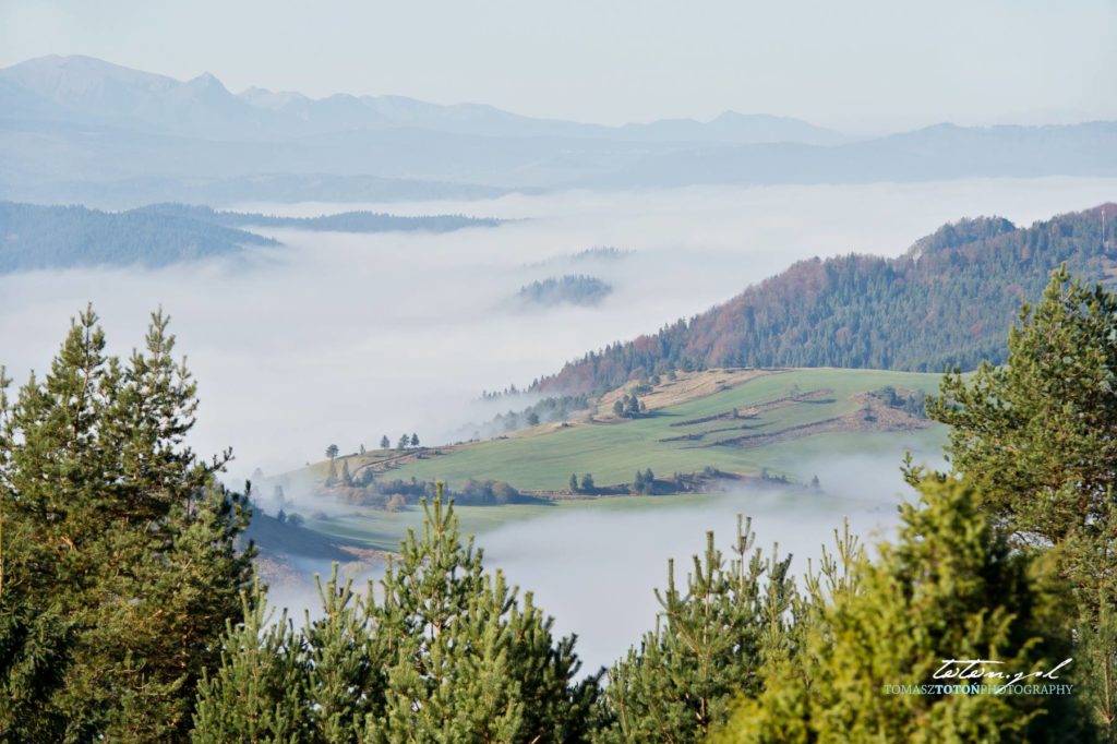 panorama-mgla